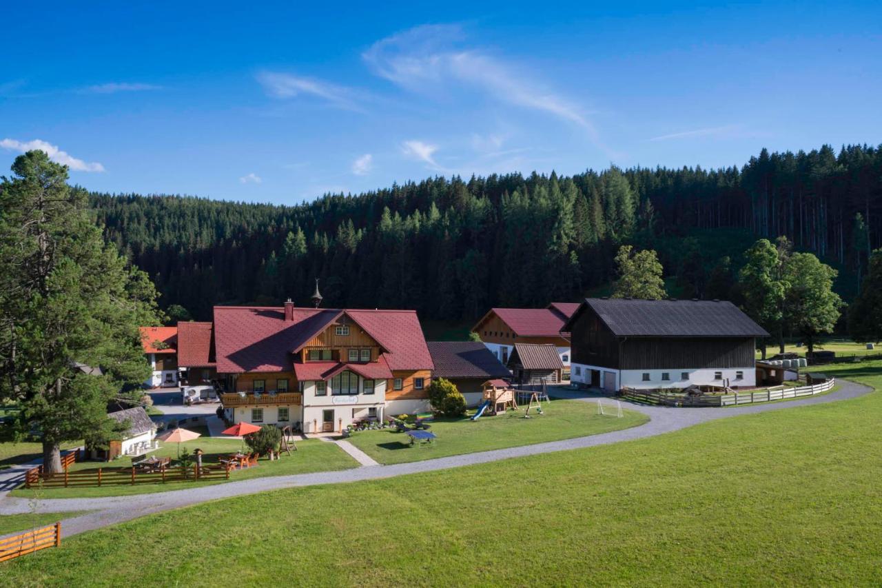 Вілла Forsterhof Рамзау-ам-Дахштайн Екстер'єр фото